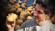 Einstein Warum der Klimawandel unsere Kartoffel bedroht Tobias Müller steht in einer Kartoffelproduktionsstätte und hält eine Kartoffel in der Hand.