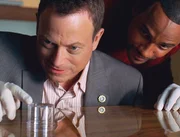 Der einzige 'Zeuge' des Mordes ist eine Mücke. Können Taylor (Gary Sinise; li.) und Hawkes (Hill Harper) anhand der DNS; die sich im Blut des Insektes befindet; den Mörder Überführen?