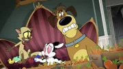 v.li.: Chester, Bunnicula, Harold