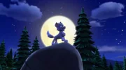 Werepuppy