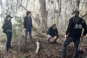 Das Navy-Team in New Orleans (v.l.n.r.) Percy (Shalita Grant), Gregorio (Vanessa Ferlito), Pride (Scott Bakula) und LaSalle (Lucas Black) sind auf der Suche nach Devereauxs verschwundenem Freund und JAG-Anwalt. In der Wildnis stoßen sie plötzlich auf den Laptop des Vermissten - aber damit nicht genug ...