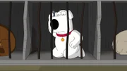 Brian Griffin