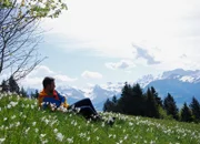 SRF bi de Lüt  Wunderland - Derborence/Diablerets VS/VD Staffel 5, Episode 5 Nik im Narzissenfeld oberhalb von Seewis