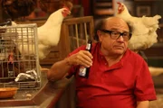 Danny DeVito als Frank Reynolds