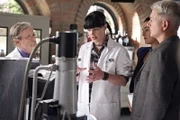 Versuchen, einen neuen Fall zu lösen: Ducky (David McCallum, l.), Abby (Pauley Perrette, 2.v.l.), Ziva (Cote de Pablo, 2.v.r.) und Gibbs (Mark Harmon, r.) ...