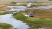 In die Wildnis der Everglades wagen sich nur wenige. Das Airboat ist ein gutes Fortbewegungsmittel auf dem „Grasfluss“.