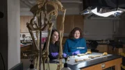 Die forensische Anthropologin Dr. Amy Michael (l.) erklärt Turi King (r.) die Schnittverletzungen des Mordopfers, dessen Torso Jahrzehntelang in einer Höhle verborgen lag.