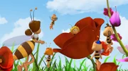 Frau Kassandra findet Maja auf der Wiese und schickt sie zur Königin.