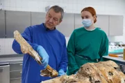 Professor Klaus Püschel demonstriert anhand einer Fettwachsleiche den Zustand von Rudolf Rupps Leiche nach der Bergung aus der Donau