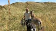 Matthias Jacobsen bietet auf Sylt geführte Wanderungen mit seinen Ziegen durch die Dünen an.