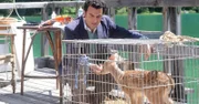 Kommissar Vincenzo (Enrico Ianniello)