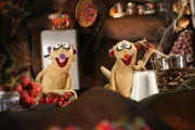 Die Erdmännchen beim Marmeladen kochen.