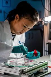 Dr. Mai Thi Nguyen-Kim bearbeitet am Forschungszentrum Jülich eine hauchdünne Scheibe eines Gehirns.