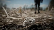 Das Stoppelfeld, der spätere Tatort, ist nur 500 Meter von Elkes Zuhause entfernt. Auf der Flucht vor dem Täter verliert die 24-Jährige wahrscheinlich einen Schuh.