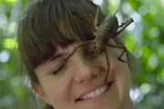 Von ganz nah und auf Tuchfühlung mit einer riesigen weiblichen Weta auf dem Gesicht von Försterin Nicole Toki.