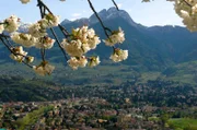 Kurstadt Meran im Frühling.