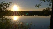 Die Feldberger Seen zählen zu den Geheimtipps in Mecklenburg-Vorpommern.