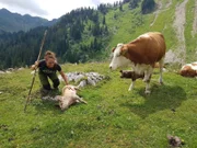 Martina lebt mit rund 50 Kälbern, zwei Ziegen, zwei Schweinen und Hühnern auf der Alm.