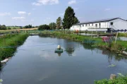 Fischzucht Wetterfeld