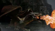 In Europa prägt die Bibel die Vorstellung vom Drachen. Ihr zufolge stehen diese Wesen in Verbindung mit der Hölle und dem Bösen schlechthin.