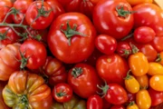 Tomaten sind das Lieblingsgemüse der Deutschen.
