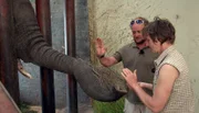 Wildhüter Hein und Tierpflegerin Ellen Hinz abends im Elefantenstall.