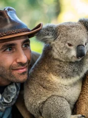 Coyote Peterson with Koala Bear in tree.