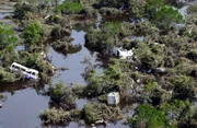 Die Westküste Sri Lankas wurde durch den Tsunami verwüstet. Inmitten der Fluten sind Baumkronen und umgestürzte Fahrzeuge zu sehen.