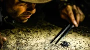 Coyote uses tongs to handle a funnel web spider.