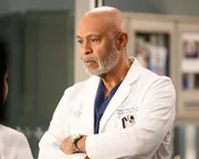 Dr. Richard Webber (James Pickens jr.)