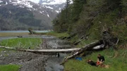 Johnny Rolfe kleidet einen von ihm gejagten Schwarzbären ein. (National Geographic)