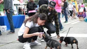Grace Lee and Antonio Ballatore play with two Dachshunds.