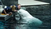 Beluga Whale with Trainers