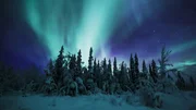 Hoch am Himmel kollidieren elektrisch geladene Sonnenteilchen aus dem Weltraum mit der Erdatmosphäre und erzeugen das Schauspiel der Aurora borealis.
