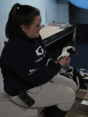 Laken Workman holds penguin Charlie in Penguin Holding