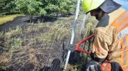 Die Berufsfeuerwehr wird zu einem Großeinsatz gerufen.