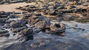 What are these perfectly circular stones lying at the bottom of the sea floor off the Greek coast?