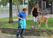 Frauchen Laura ist mit ihrem Podenco-Inizenco-Rüden "Don Pepino" überfordert. Gelingt es dem Hundeprofi Martin Rütter, dem unruhigen Vierbeiner Benimm-Regeln beizubringen?