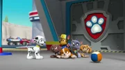 L-R: Marshall, Zuma, Chase, Rubble, Rocky, Skye