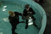 Crew filming blacktip reef shark L2 Dr. Lisa Parsons and Eric Carlson