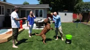 Antonio Ballatore, Kirstin Mahoney, and Sergio Pedroza play ball with Turf.