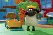 Timmy ist gerade drei Jahre alt geworden. Er muss noch viel lernen, zum Beispiel, dass man Dinge teilt. Im Kindergarten hat er die beste Gelegenheit dazu.