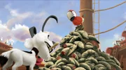 Piratenpapagei Krächz fordert Tierschutz auch unter Piraten.