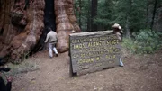 Ron and John Daniels at Stagg Tree.