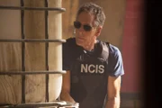 Wird von einer seiner Agentinnen bitter enttäuscht: Special Agent Pride (Scott Bakula) ...