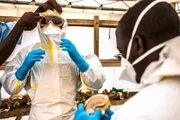 Ein Mitarbeiter des Gesundheitswesens hilft einem Kollegen am 10. September 2015, in einem Ebola-Behandlungszentrum in Coyah, Guinea, persönliche Schutzausrüstung (PSA) anzuziehen.