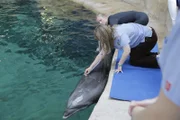 Dr. Michelle Davis uses stethoscope on dolphin Polka will Jackie Stone holds his fin
