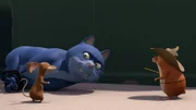 Die Schlacht mit der Katze hat eindeutige Sieger.