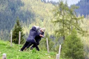 Ein Unbekannter (Komparse, l.) versucht den Bauer Josef Lahner (Franz Buchrieser, r.) in eine Schlucht zu stürzen.