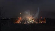 Eine feurige Explosion bricht aus, nachdem beschädigte Cockpit-Instrumente in der Korean Airlines 747 das Flugzeug kurz nach dem Start vom Flughafen Stansted zum Absturz gebracht haben.